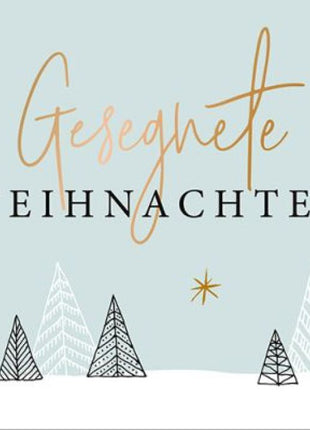 Gesegnete Weihnachten - Postkartenset (Schreibwaren - Kartoniert)