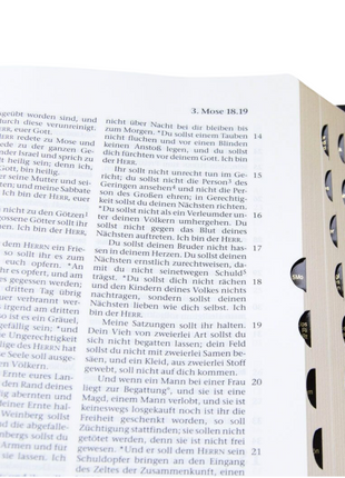 Die Heilige Schrift - Standardbibel, Leder, Goldschnitt, Griffregister (Bibel - Leder)