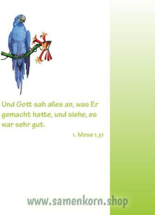 Entdecke die Bibel - Altes Testament (Buch - Gebunden)