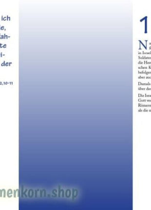 Entdecke die Bibel - Neues Testament (Buch - Gebunden)