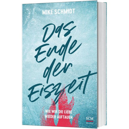 Das Ende der Eiszeit (Buch - Klappenbroschur)