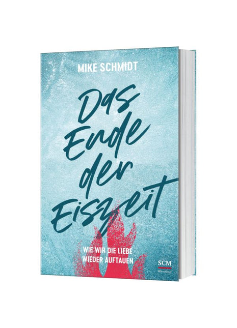 Das Ende der Eiszeit (Buch - Klappenbroschur)