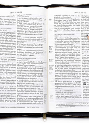 Schlachter 2000 - Standardausgabe Leder mit Reißverschluss (Bibel - Leder)