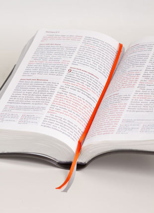 Neues Leben. Die Bibel, Standardausgabe, Kunstleder schwarzplatin (Bibel - Kunstleder)